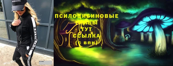 гашик Навашино