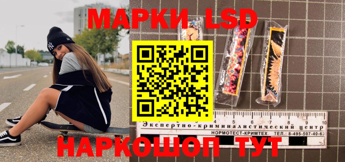 Галлюциногенные грибы Новороссийск
