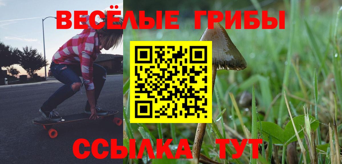 Новороссийск  Галлюциногенные грибы GOLDEN TEACHER  как найти наркотики  Вход с VPN 