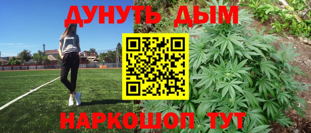 Бошки Шишки планчик Новороссийск
